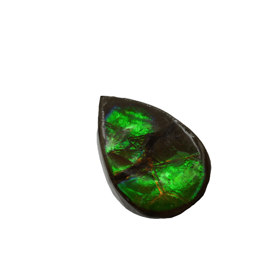 ammolite